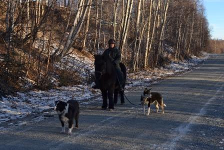 Alys and Tinni head out with Rainbow and Jenna